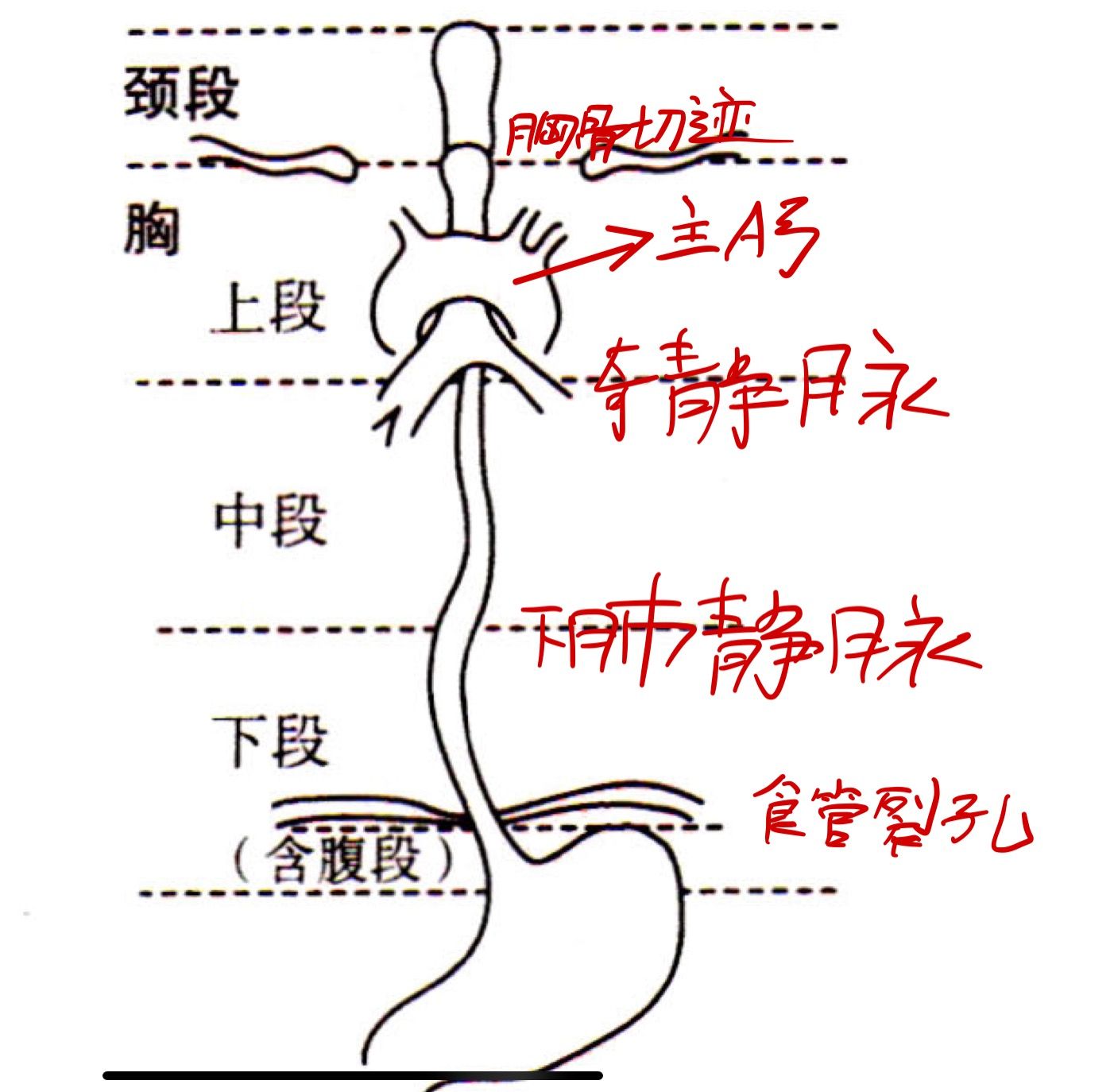 Pasted image 20241212182640.jpg