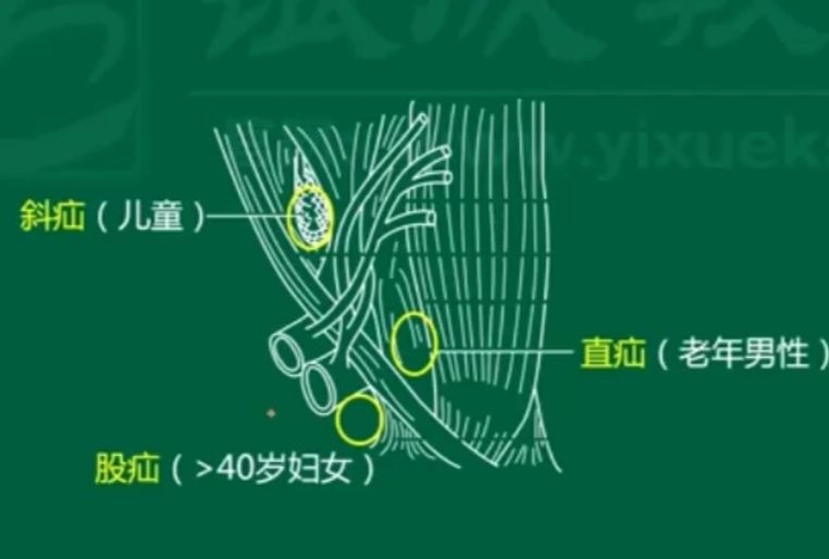 1745386464548.jpg