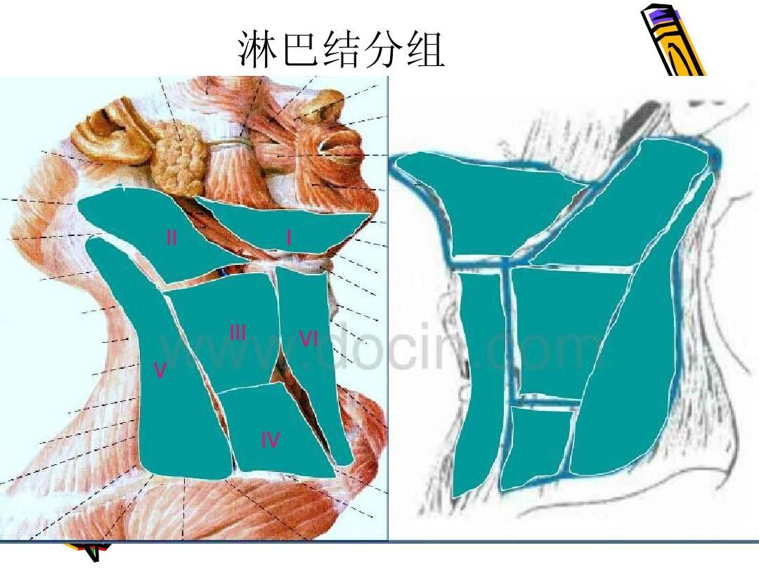 1746671200776.jpg
