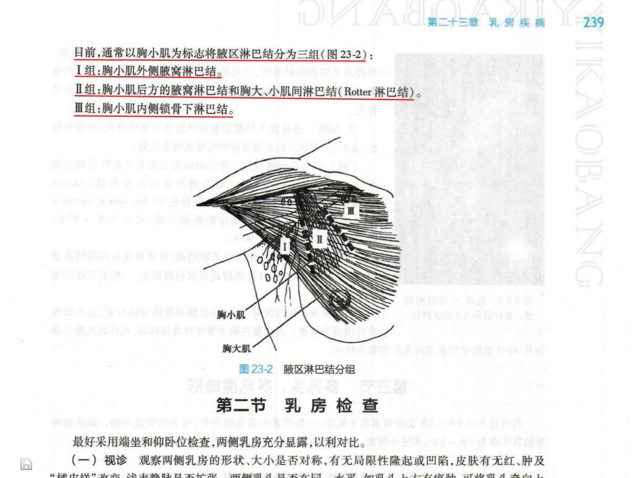 1746766595356.jpg