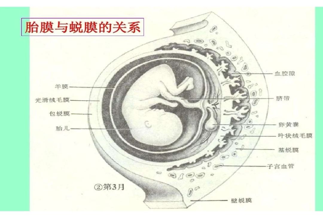 1747806846218.jpg