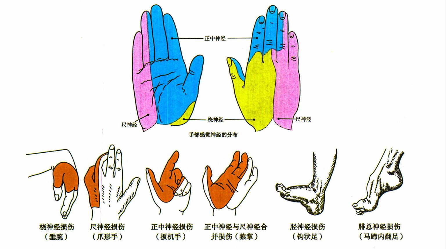 1755588531634.jpg