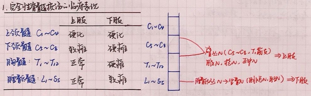 1755747497454.jpg