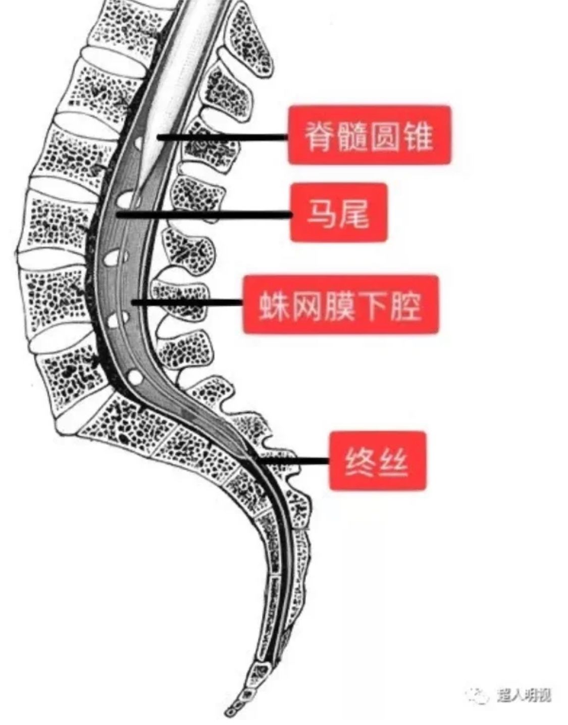 1755761562762.jpg